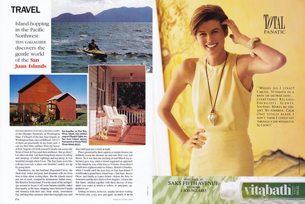 Nan Swid | Vogue | JUNE 1990
