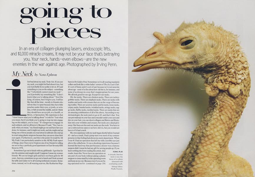 Going to Pieces: My Neck