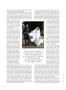 Page: - 146 | Vogue